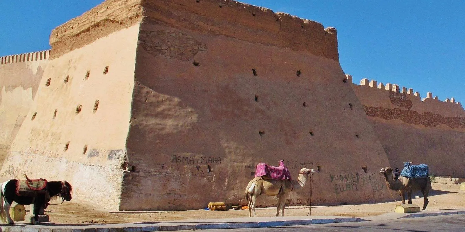 Agadir City Tour: Kasbah, Marina & Souk El Had photo 6