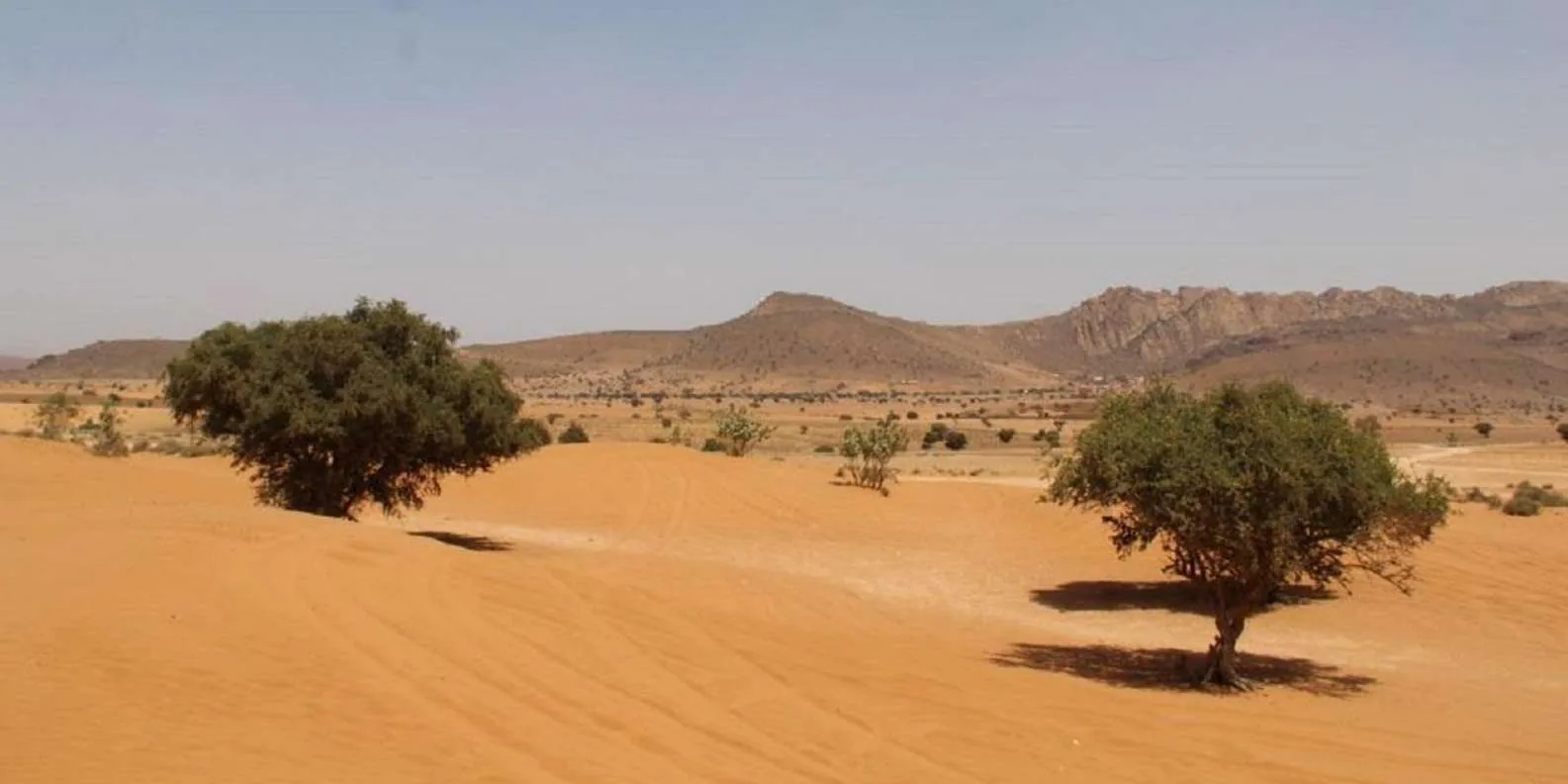 Agadir Mini Sahara Tour: Desert, Tiznit & Berber Lunch photo 3